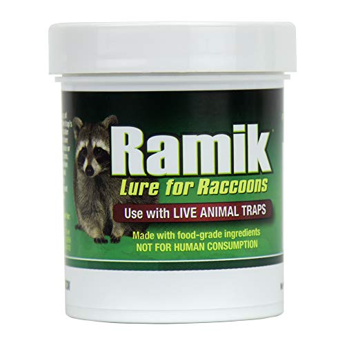 Ramik 951 Raccoon Lure