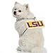 Littlearth NCAA Pet Fan Chain LSU Tigers