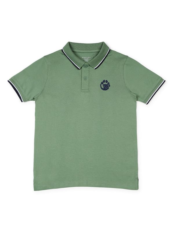 Image of Aventura Boys Polo T-Shirt Combo Pack of 2 - 100% Cotton Half Sleeve Collar T-Shirts for Boys (Age 5-12 Years)