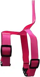 Morapet Guia E Peitoral Para Papagaio