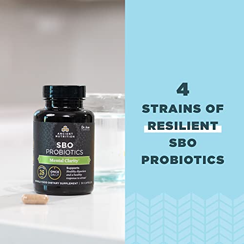 Ancient Nutrition Probiotics For Mental Clarity, Once Daily Probiotics 30Ct, Helps Promote Mental Clarity And Concentration, Supports Healthy Energy And More Restful Sleep, 25 Billion Cfus* #TOP4