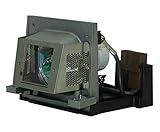 GOLDENRIVER RLC-023 Replacement Lamp with Housing Compatible with VIEWSONIC projectors PJ558 PJ558D