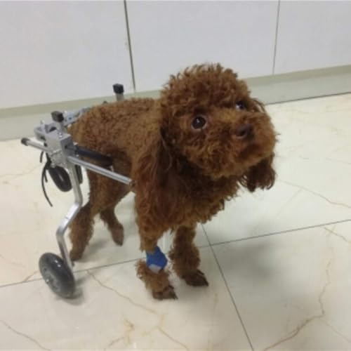Silla de ruedas para perros medianos y grandes ideal para paseos al aire libre en familia