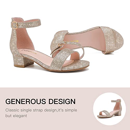 Dufannie Cham Heels For Girls Open Toe Ankle Strap Chunky Heel Pump Sandals Birthday Party Wedding School Performances Strappy Buckle Sandals (3603Glitter Cham 3) #TOP4