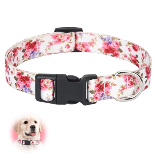 Collares Perros Anchos Marca Crrynuo