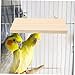 Toddmomy 2pcs Rectangular Bird Platforms for Parakeets Wooden Perch Stand for Birds Fun and Engaging Accessories