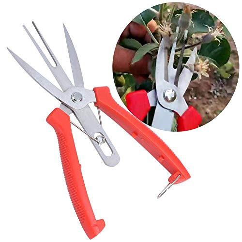 Tijeras de podar Oumefar acero inoxidable para jardín
