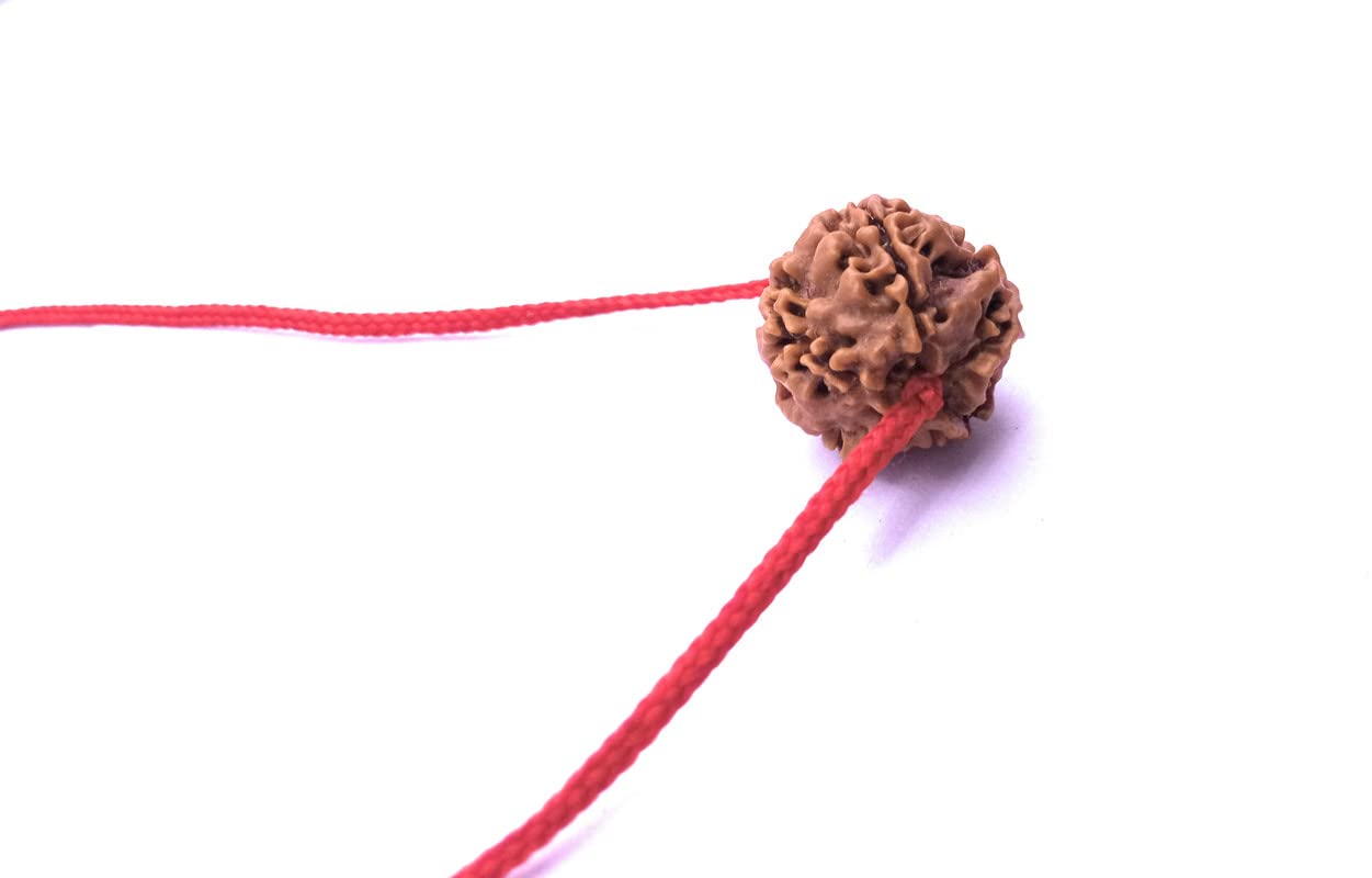 raviour lifestyle 5 Mukhi Faced Nepali Rudraksha Beads Pendant with Red Thread Simple Locket For Men & Women Silk Dori Pendant-picture-13