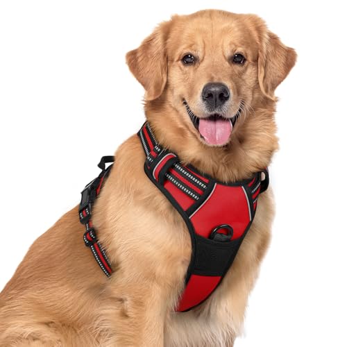 Image of rabbitgoo Dog Harness No Pull with 2 Leash Clips, Adjustable Soft Padded, Reflective Oxford No Choke Pet Vest with Easy Control Handle for Large Dogs, Red, XL