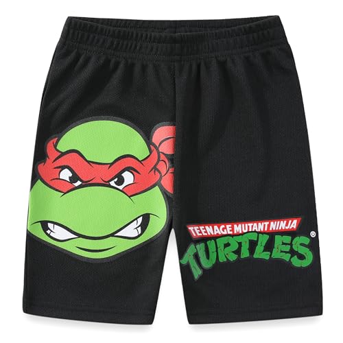 Image of Nickelodeon Teenage Mutant Ninja Turtles Boys 2 Piece Pullover T-Shirt and Shorts Set for Toddler and Big Kids