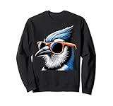 Photo Gallery cool blue jay bird che indossa occhiali da sole graphic art felpa Photo Gallery cool blue jay bird che indossa occhiali da sole graphic art felpa