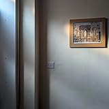 Photo Gallery an iguana broke my bathroom door