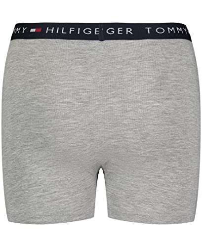 Tommy Hilfiger Boys' Boxer Brief Underwear (2-Pack), Navy Stripe/Grey Heather, 16-18 #TOP4