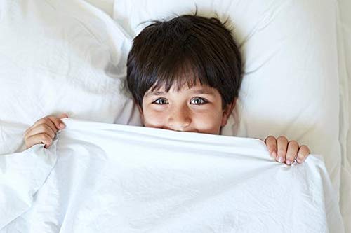 National Allergy 300 Thread Count 100-Percent Cotton Bed Bug, Dust Mite & Allergy Control Mattress Protector, Twin 9-inch White