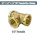 Aolemi Pipe Tee Intersection Brass Fitting 1/2