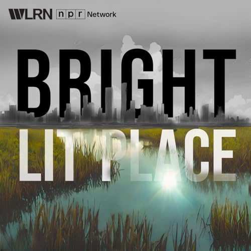 Bright Lit Place cover art