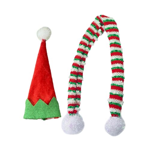 DzpKrka NX}X C{g Jo[,fR[V tFXeBo {g gbp[ - XqƃXJ[t C Jo[ | p[eB[ExEW܂EoJXEo[EzeEXgE_CjOe[uEVpEECXL[p