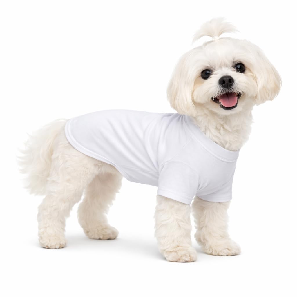 Lovelonglong Pet Clothing Dog Costumes Basic Blank T-Shirt Tee Shirts for Small Dogs White S - 1