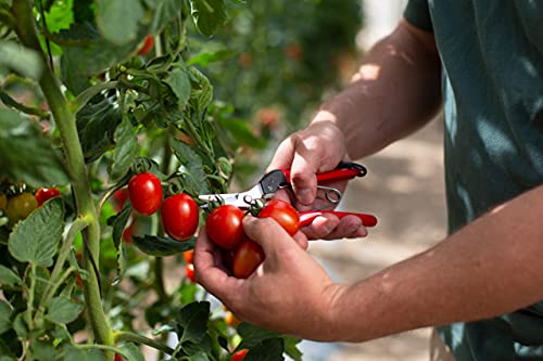 FELCO 321 Oogstschaar (voor fruit-, bloemen- en groentestelen, compacte schaar) - Afbeelding 4