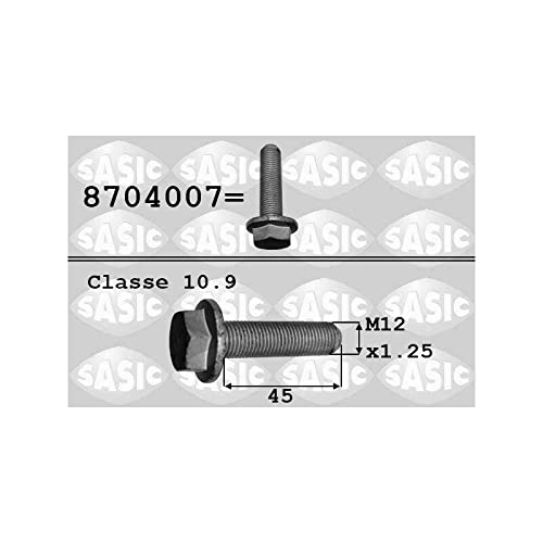 SASIC 8704007 Riemenscheibenschraube Kompatibel mit OPEL Movano Kastenwagen X70