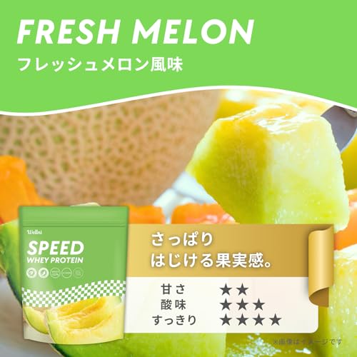 Wellni SPEED ホエイプロテイン 1kg