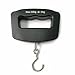 50KG bagaglio a mano bilancia elettronica, mini portatile liquido display di cristallo bilancia elettronica, bilancia pesce., Bilancia