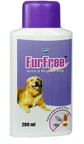 jackson galaxy gravity tower