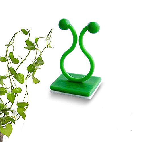 lazysunny Invisible Wall Vines Fixing Clips Plant, Plant Fixer Self-Adhesive Hook, Plant Vine Traction Invisible Wall Vines, Plant Support Binding Clip Invisible Wall Vines (120 Pcs)