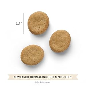 The Honest Kitchen Goat's Milk N' Cookies: Slow Baked with Pumpkin, 8 oz Bag The Honest Kitchen Goats Milk N Cookies Slow Baked with Pumpkin 8 oz Bag