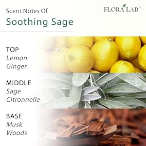 Reed diffuser sets with sticks and real dried flowers 67oz 200ml lemon sage long lasting fragrance natural design perfect for home bathroom shelf decor ideal gift  urban country home decor