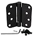 (Pack of 2) Oil-rubbed Bronze 4 X 4 with 5/8 Radius Spring Door Hinges