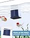 SEAOURA Aquarium Magnetic Cleaner with Thermometer, Fish Aquariums Mini Magnet Brush Only for Glass Tank,Tiny Magnets Clean Floating Cleaning ToolAlgae Scrapers(Blue)