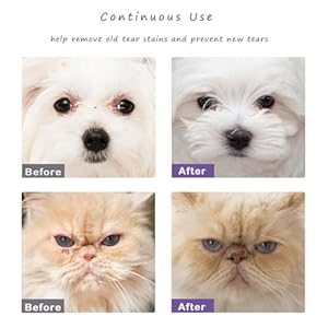 Dog Tear Stain Remover Starter Kit, with Witch Hazel Extract, Remove Tear Stains, Discharge & Mucus, includes Stain Solution, Applicator Wipes, Stain Powder & Brush, Lasts 30-45 Days