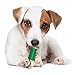 Nylabone Power Chew Double Action Barbell Bone Chew Toy, Durable Dog Toy, Bacon Flavor, Small - Up to 25 lbs. (1 Count)