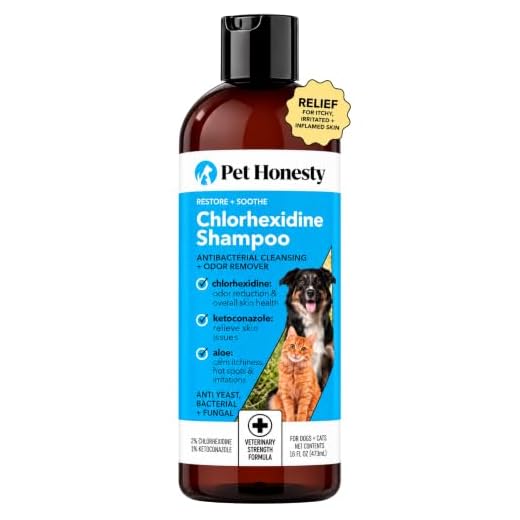 PetHonesty Chlorhexidine Shampoo - Ketoconazole & Aloe for Dogs & Cats - Helps Itching, Hot Spots, Pyoderma & Allergies, Sensitive Skin, Deodorizing Dog Shampoo, Dog Grooming Supplies - 16oz