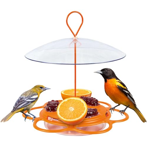 Natures Way Multi-Station Oriole Feeding Center with Ant Moat & Weather Baffle Metal & Plastic Wild Bird Feeder 12 oz Nectar Capacity Orange