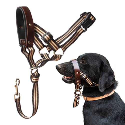 What's The Best Gentle Leaders For Dogs By An Expert