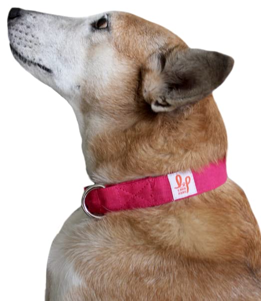 See full amazon price history chart for Lana Paws Eco-Friendly, Fur/Skin-Friendly and Soft Hemp Dog Collar Belt, Hot Pink (Small) Lana Paws Eco-Friendly, Fur/Skin-Friendly and Soft Hemp Dog Collar Belt, Hot Pink (Small) (B09VPW5MRF) Amazon Price History, Amazon Price Tracker