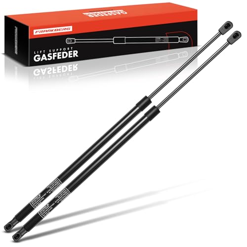 Ressorts à gaz hayon Frankberg pour Jumpy et Expert Bus Camionnette V 2016-2024