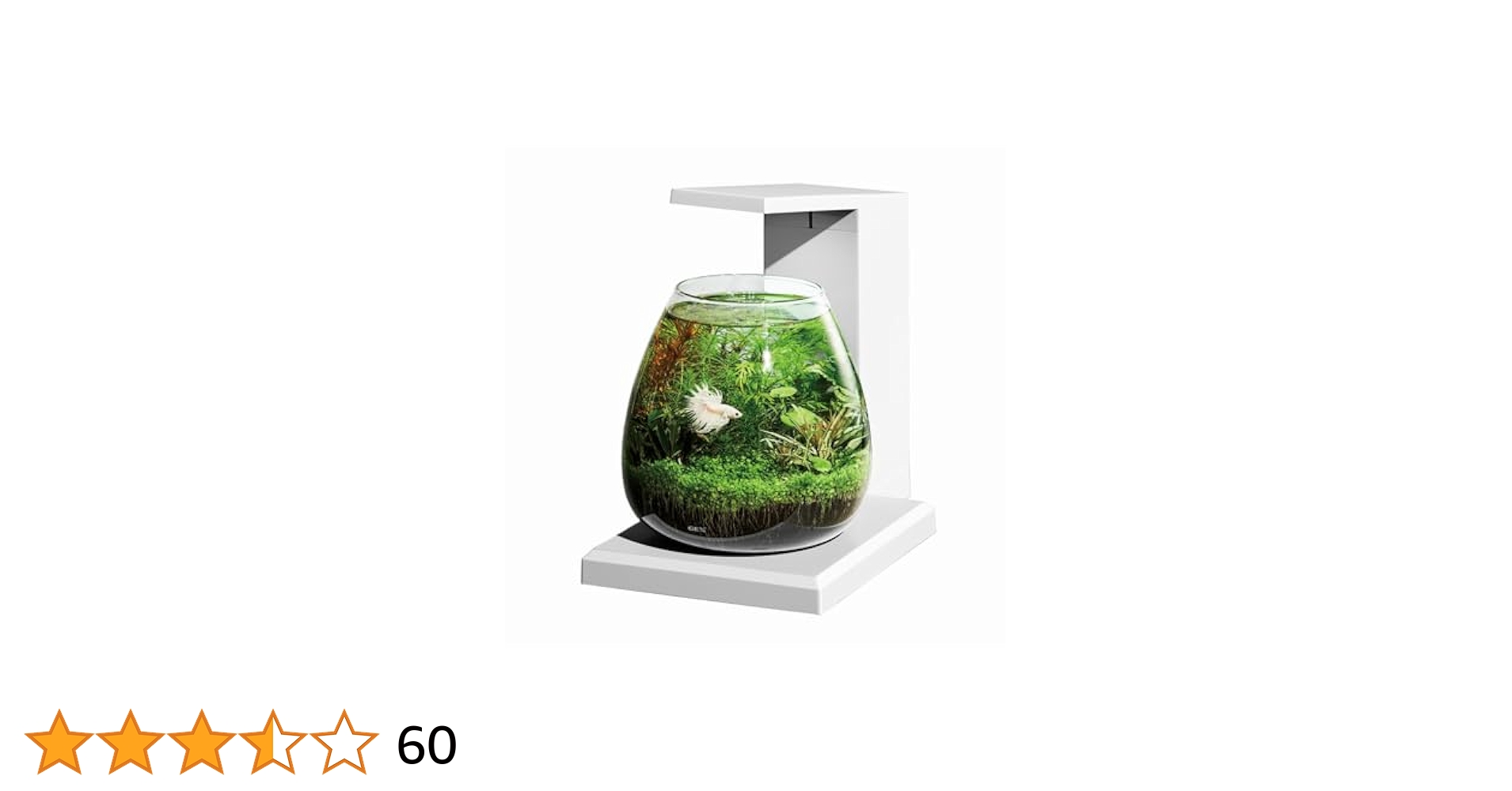 Amazon.co.jp: ジェックス GEX AQUARIUM グラスアクア PERCO T
