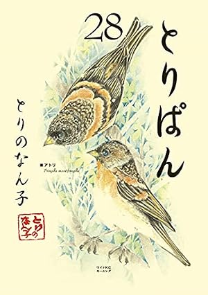 Amazon.co.jp: とりぱん（30） (モーニングコミックス) eBook : とり