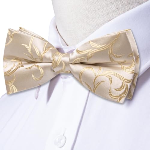 Image of Dubulle Mens Paisley Striped Bowtie Set Pre-tied Bowtie for Men and Pocket Square Set Wedding Business