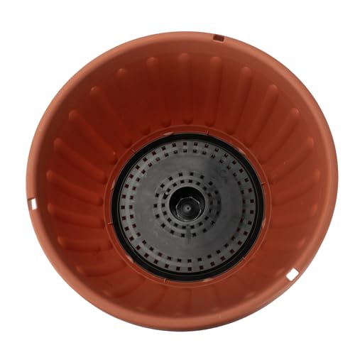 The HC Companies Plantador de pendurar Terra Roma de 30,5 cm para plantas de interior – Cesta redond