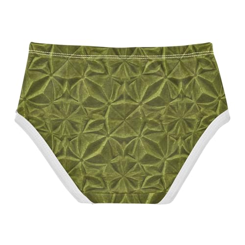 Toddlers Underwear Floral 2t Cotton Panties for Girl Flower Briefs Kids Undies Vintage Olive Green Velvet Texture2