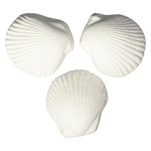 Weco Wonder Shell Natural Minerals (3 Pack), Small