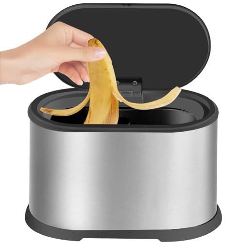 Lizusidtsy 1 Piece Mini Trash Can with Lid 4L Small Kitchen Compost Bin Stainless Steel Mini Garbage Can Countertop Trash Can Silver