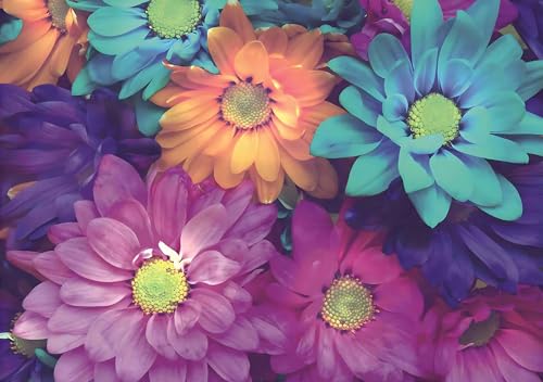 Sticky Rice Paper for Decoupage, 11.22