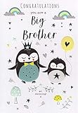 geprägt Silber Folie Zur Silberhochzeit Pinguine Congratulations Big Brother Karte
