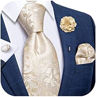 DiBanGu Silk Ties for Men Necktie and Lapel Pin Brooch Set