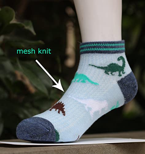 Chung Boys 5 Pack Cotton Low Cut Socks Star Dinosaur Stripe Print, 2022 5Dino，2-4Y #TOP2
